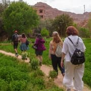 From Ouarzazate: Aït Benhaddu, Fint Oasis & Film Studio Trip 4