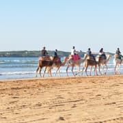 Marrakech: Essaouira’s Sun, Beach & Historic Medina Day Trip 2