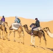 From Ouarzazate: Draa Valley, Camel Ride & Tinfou Dunes Trip